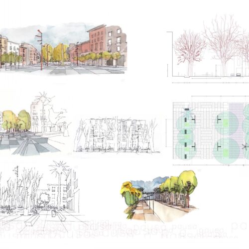 02born resolució alta